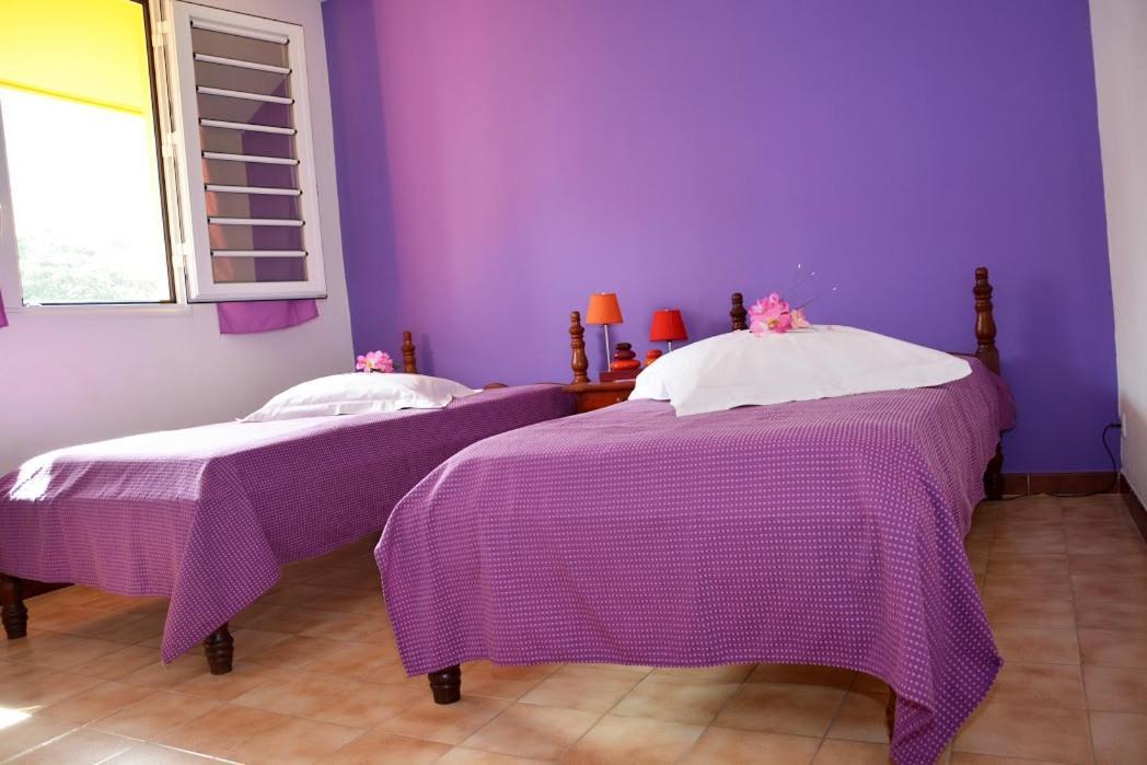Grande Anse Residence De Vacances Mon Refuge - Bungalow De Type T3 מראה חיצוני תמונה