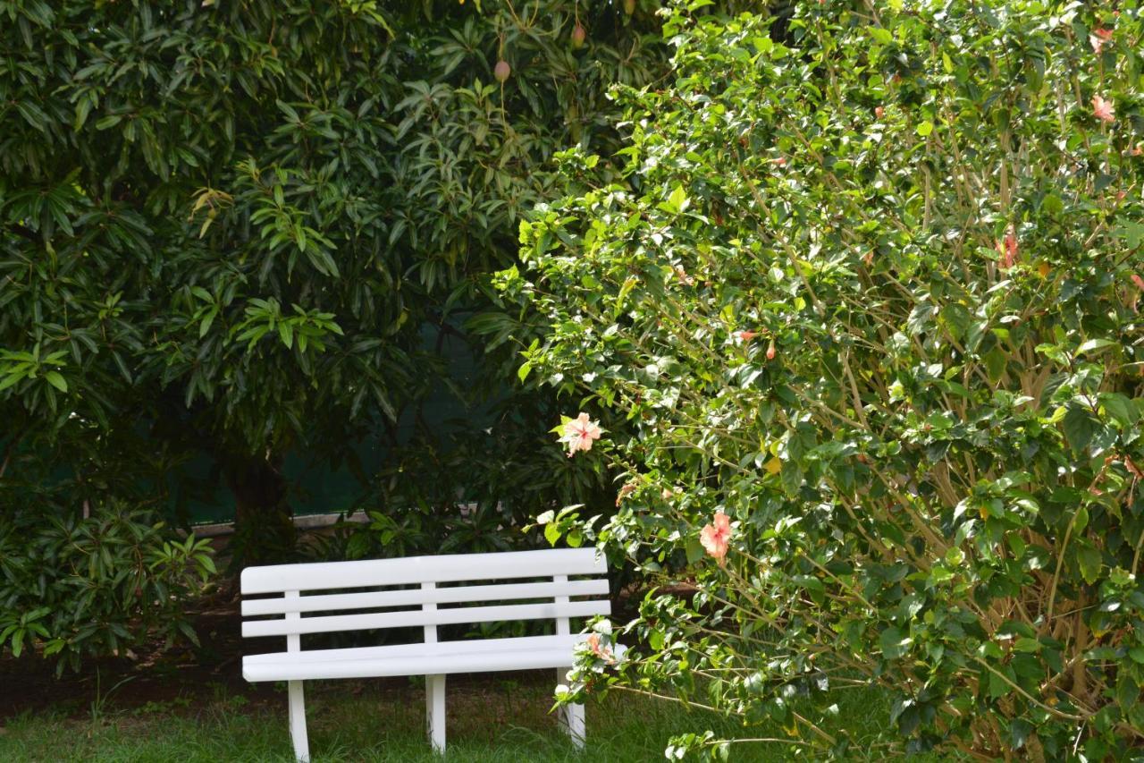Grande Anse Residence De Vacances Mon Refuge - Bungalow De Type T3 מראה חיצוני תמונה