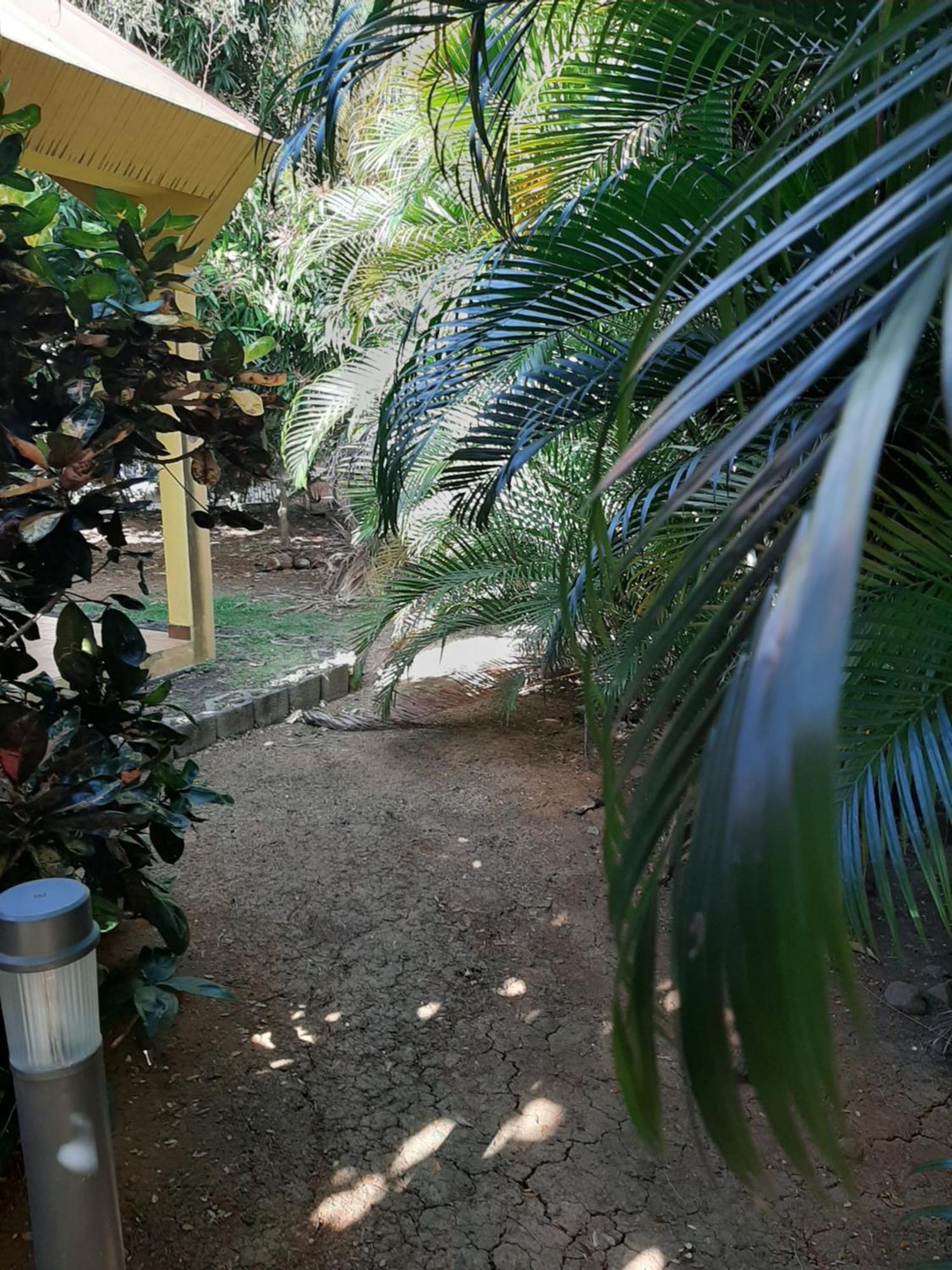 Grande Anse Residence De Vacances Mon Refuge - Bungalow De Type T3 מראה חיצוני תמונה
