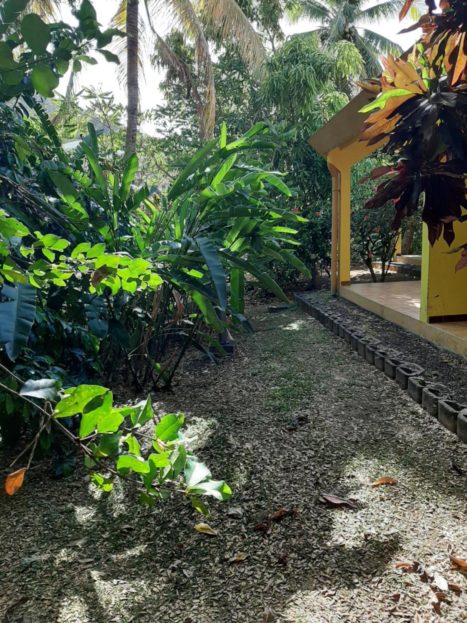 Grande Anse Residence De Vacances Mon Refuge - Bungalow De Type T3 מראה חיצוני תמונה